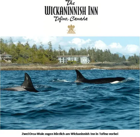 Bild: Wal-Alarm im WICKANINNISH INN in Tofino, British Columbia