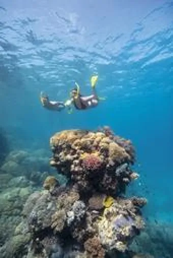 Bild: Neue Hotels und Attraktionen im tropischen Norden von Queensland Australien