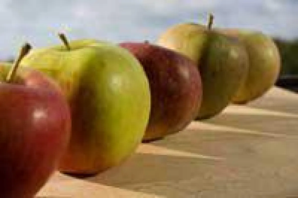 Bild: Copyright proDente e.V.