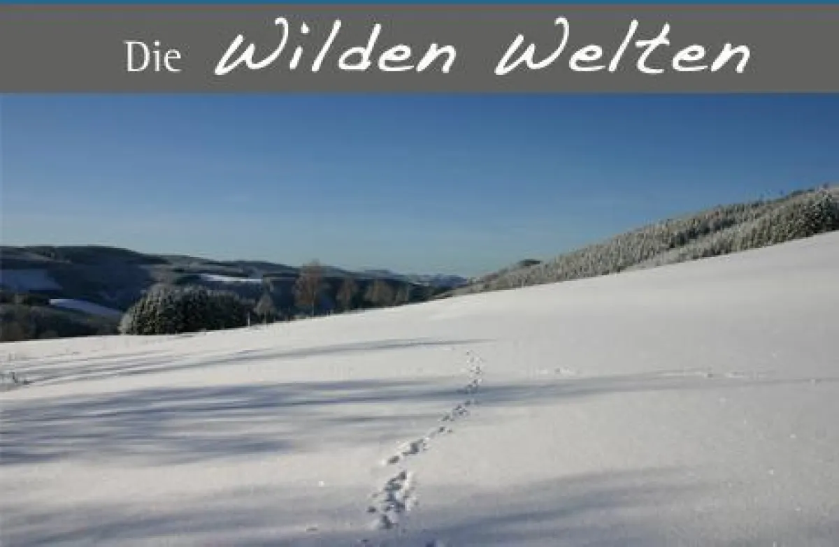 Winterlandschaft auf dem Hohen Knochen