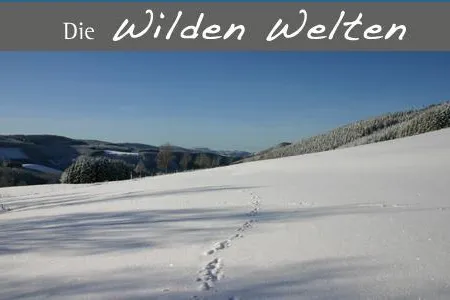 Bild: Samstag 21.02.2009 - Geführte Wanderung auf dem Hohen Knochen im Sauerland