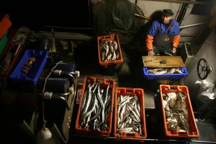 Sieger des Fotowettbewerbs „Hering & Fischerei“ gekürt Bild: Sieger des Fotowettbewerbs „Hering & Fischerei“ gekürt