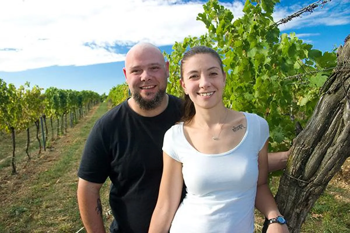Bioweingut Hareter Thomas, Weiden am See