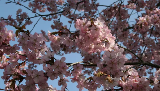 Bild: Praxiswissen erwerben: Am 6. Mai 2024 startet der Fachlehrgang Onlineredakteur/in Crossmedia OC39