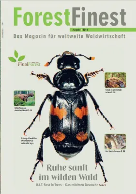 Bild: Waldbestattungen Hauptthema des kostenlosen Umweltmagazins ForestFinest