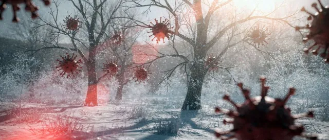 Bild: Immunsystem stärken in der Erkältungszeit: Warum der Darm jetzt entscheidend ist