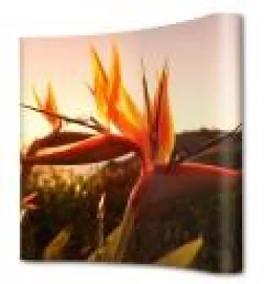 Bild: Faltdisplays von mydisplays.de