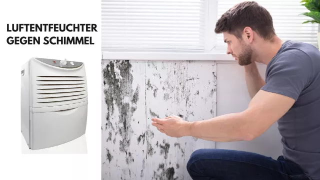 Bild: Elektrische Luftentfeuchter als effektive Waffe im Kampf gegen Schimmel: Einblicke von Bautrockner-Experten