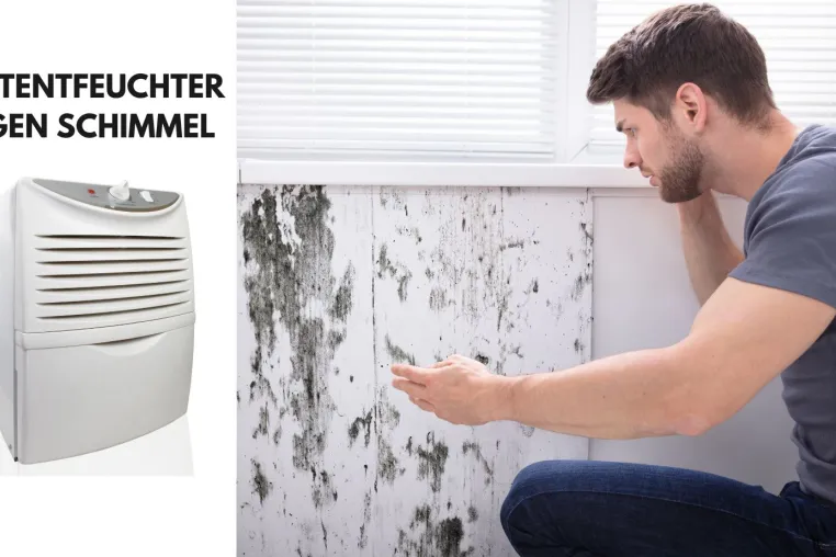 Bild: Elektrische Luftentfeuchter als effektive Waffe im Kampf gegen Schimmel: Einblicke von Bautrockner-Experten