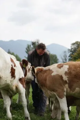 Bild: Eröffnung Naturkäserei TegernseerLand - Milchbauerninitiative wird zum Tourismusmagnet