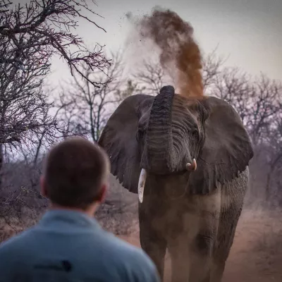 Artenschutz in der Corona-Krise: Tourismustief entfacht Wilderei Bild: Artenschutz in der Corona-Krise: Tourismustief entfacht Wilderei