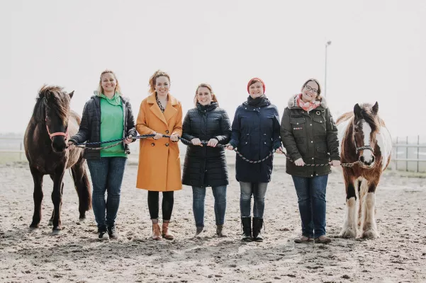 Bild: Entschleunigung auf 1 PS – Pferdegestütztes Coaching auf der Nordseeinsel Langeoog