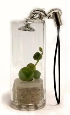 Bild: Die natürlichen Freunde für alle, die noch keinen haben