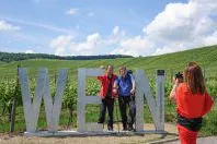 Bild: Weinherbst in der Neckar-Zaber Region