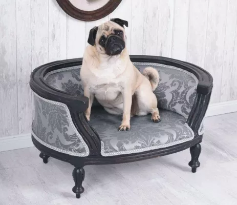 Bild: Nur das Beste für den Hund - Gesunde und luxuriöse Hundebetten voll im Trend!