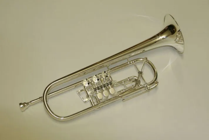 Deutscher Musikinstrumentenpreis für Fagott und b-Trompete Bild: Deutscher Musikinstrumentenpreis für Fagott und b-Trompete