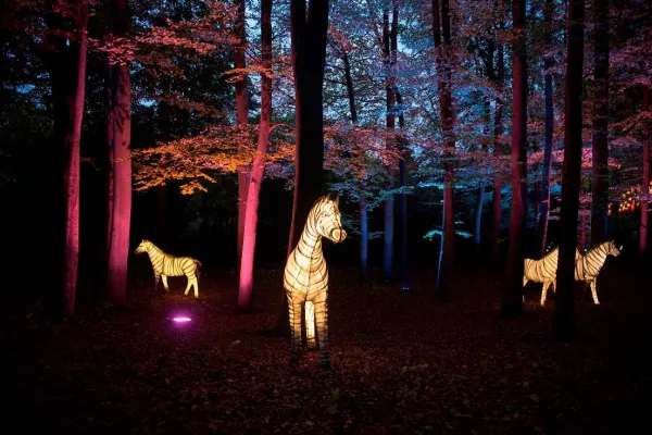 Bild: „Geheimnisvolle Lichterwelten – Zoo-Lights Osnabrück“ vom 14. September bis 10. November