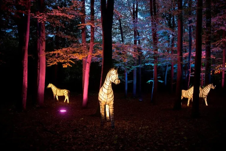„Geheimnisvolle Lichterwelten – Zoo-Lights Osnabrück“ vom 14. September bis 10. November Bild: „Geheimnisvolle Lichterwelten – Zoo-Lights Osnabrück“ vom 14. September bis 10. November