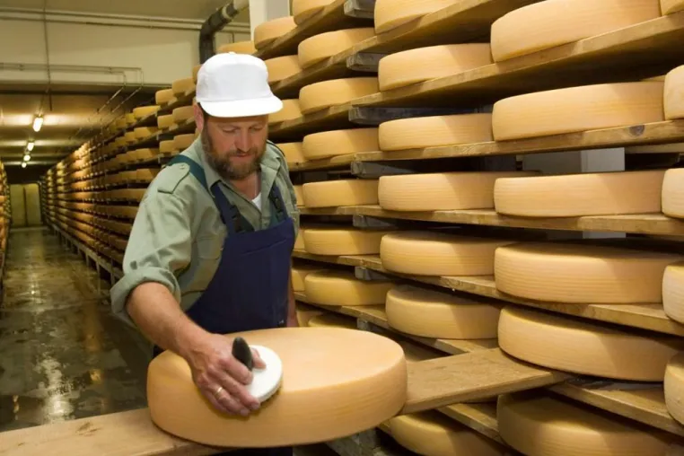 Bild: Der Expertentipp im Dezember - Wie wird Allgäuer Bergkäse gereift, ohne zu verschimmeln?