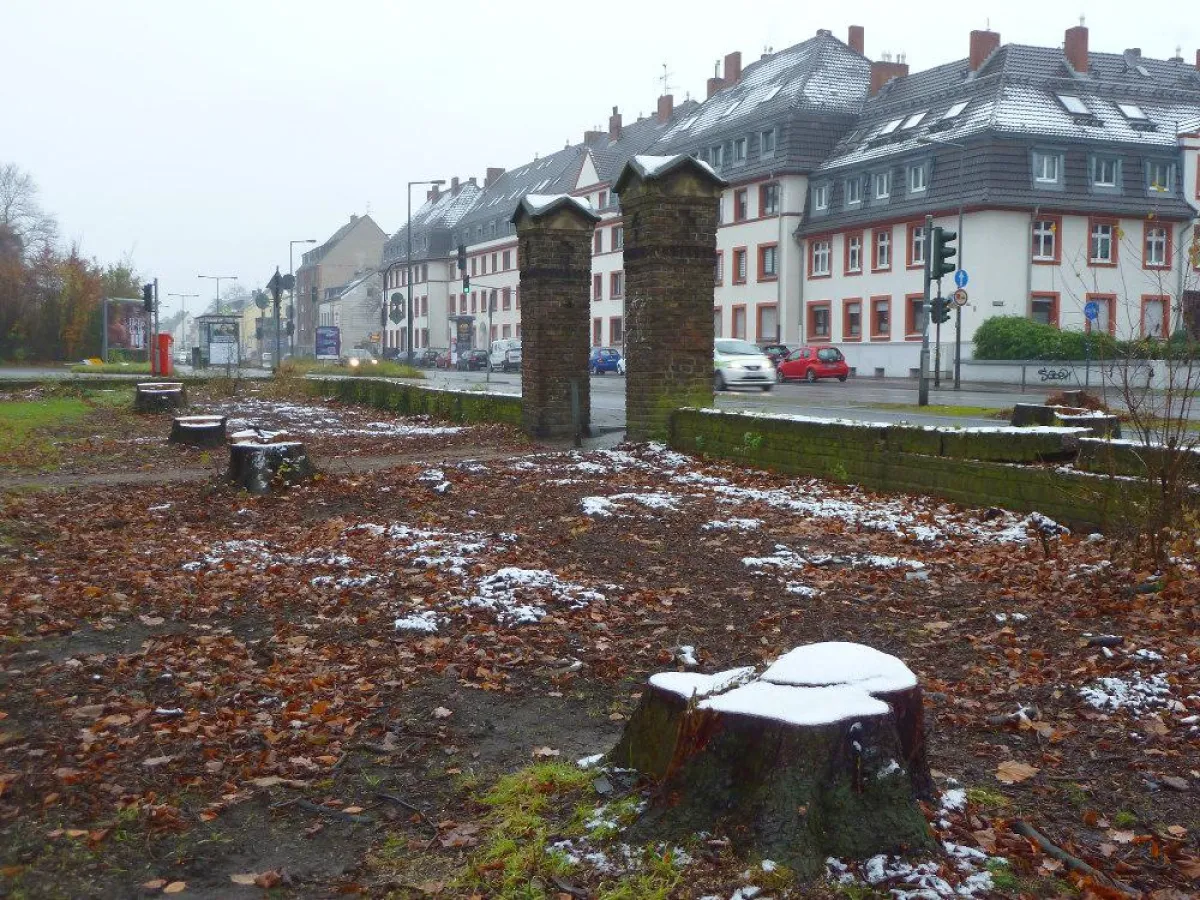 Statt Dialog kurzer Prozess mit Bürgern und Bäumen. Foto: A. Wulf