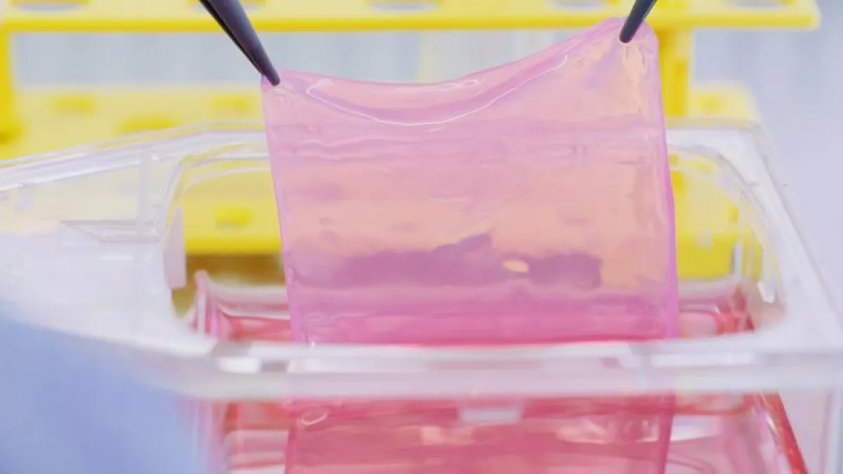 Personalized skin graft to treat skin defects  (Picture: ©Wyss Zurich)