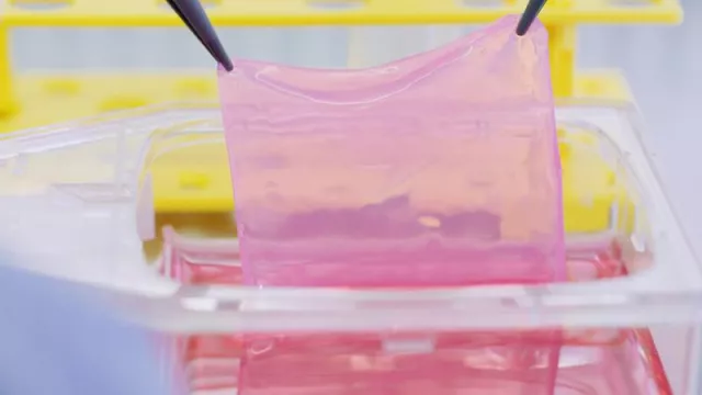 Bild: UZH Life Sciences Fund Invests in First Spin-off