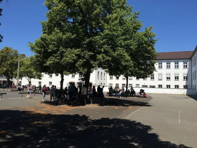 Bild: Erneut erfolgreich im Schulbau: HITZLER INGENIEURE steuert in Rüsselsheim