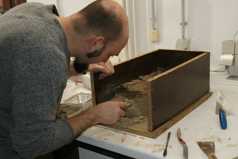 Bild: Alter der Schöninger Speere auf 200.000 Jahre korrigiert