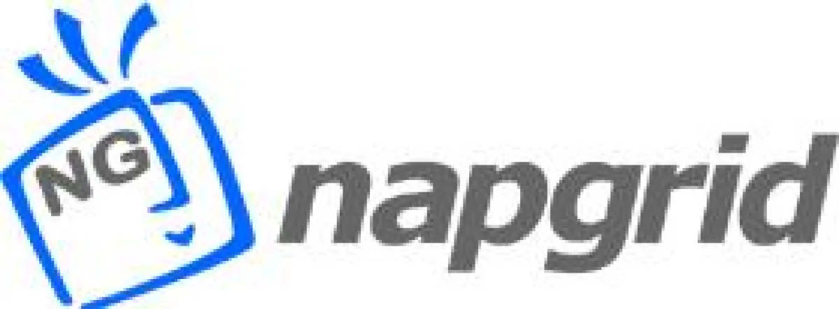napgrid Unternehmenslogo