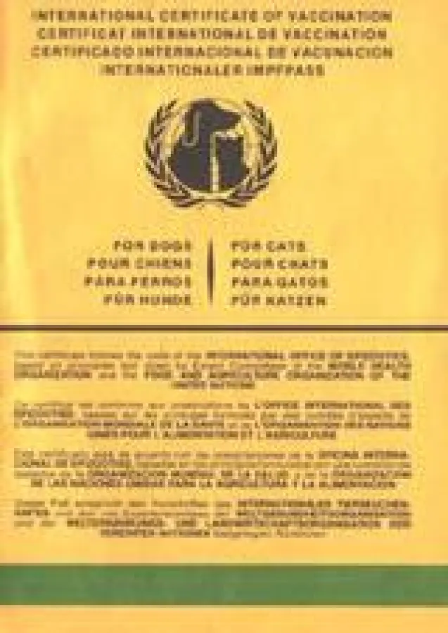 Baby vielleicht - Impfung bestimmt