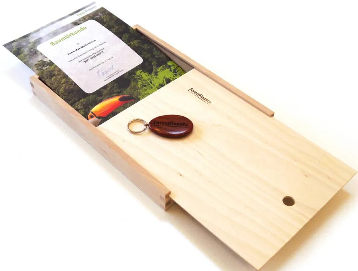 Nachhaltige Geschenkidee für Hochzeiten: Der GeschenkBaum