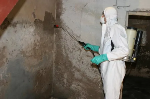 Bild: Schimmelpilzbefall – Was ist Stand der Technik?