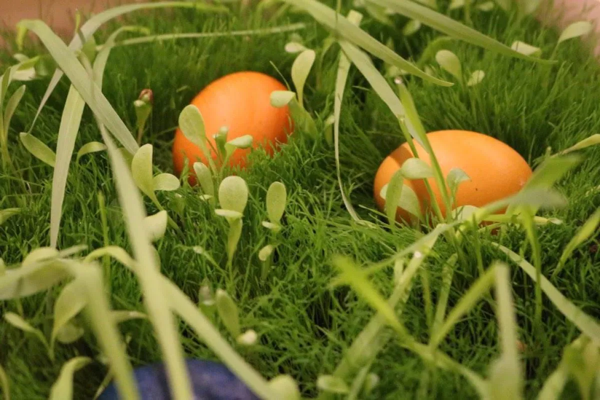Frohe Ostern