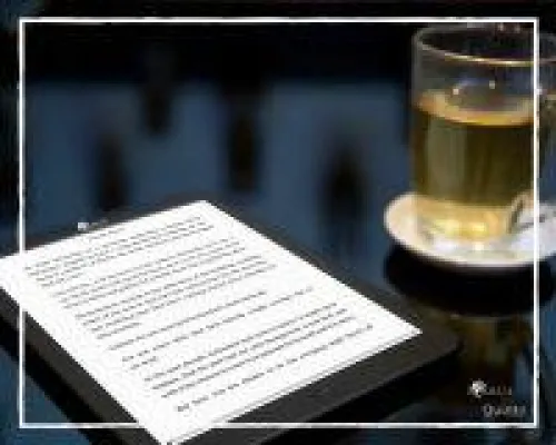 Bild: HD eBook-Reader im Taschenbuchformat: Icarus Illumina XL