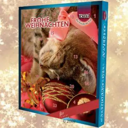 Bild: Adventskalender: Eine tierische Freude auch für Vierbeiner