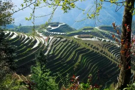 Bild: Südchina- und Vietnam-Kombi: Wandern durch Reisterrassen und Dschunkenfahrt in der Halong-Bucht