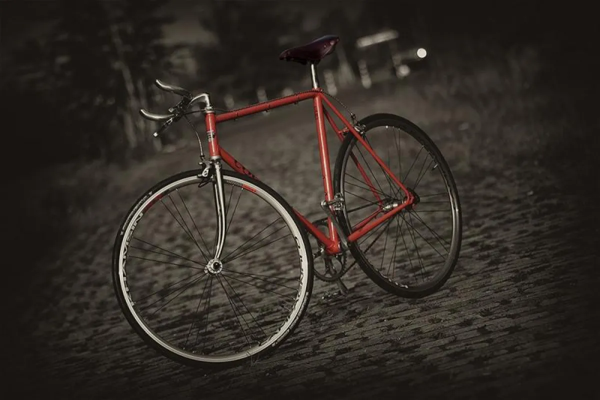 Q-Cycles Colnago Singlespeed