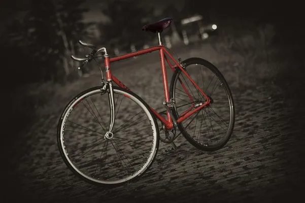 Bild: Singlespeed - aktueller Fahrrad-Trend designed by Q-Cycles