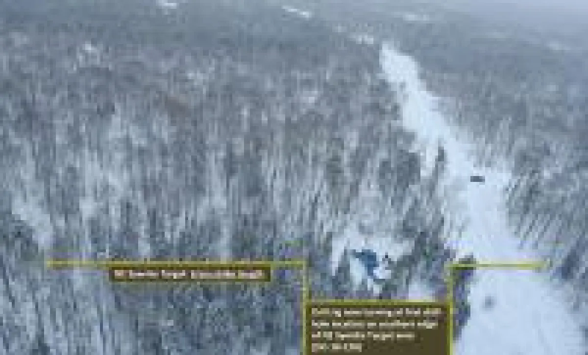 Quelle: Maple Gold Mines