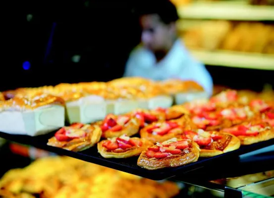 Bild: Neue Broschüre "Auslege- und Serviertabletts" der FMU GmbH