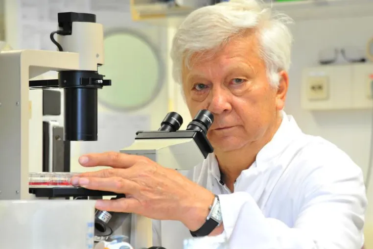 Würzburger Forscher identifizieren Schlüssel zur Kontrolle von Immunreaktionen Bild: Würzburger Forscher identifizieren Schlüssel zur Kontrolle von Immunreaktionen