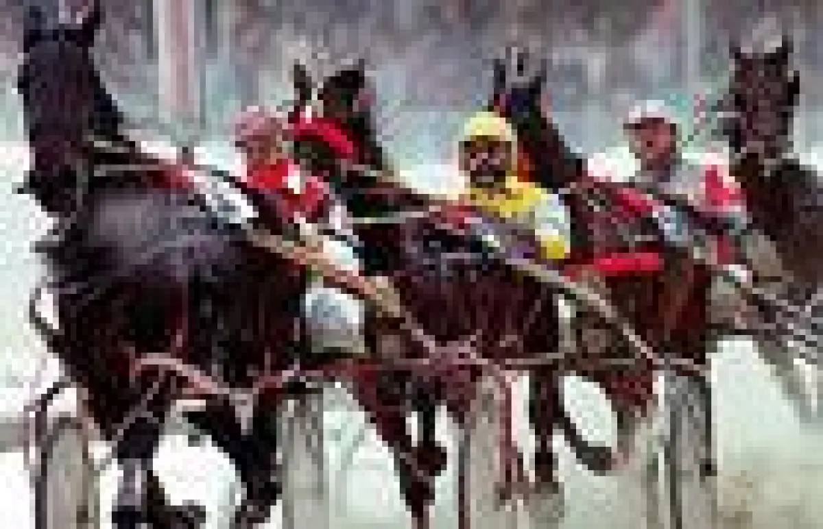 Deutsche Trabernacht auf The BigM - Meadowlands
