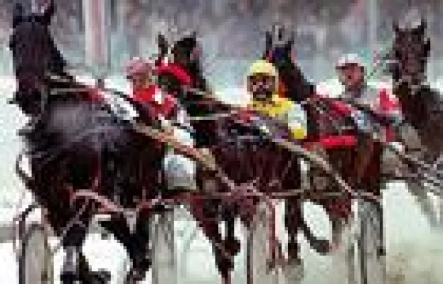 Bild: Traber-News - Deutsche Trabernacht auf Meadowlands