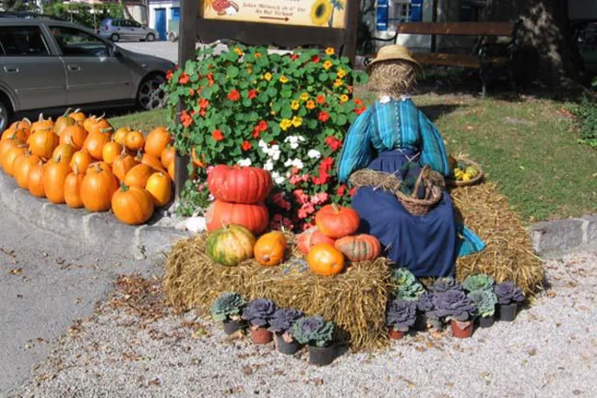 Herbstzeit in Österreich– Zeit der Ernte und der Erntedankfeste