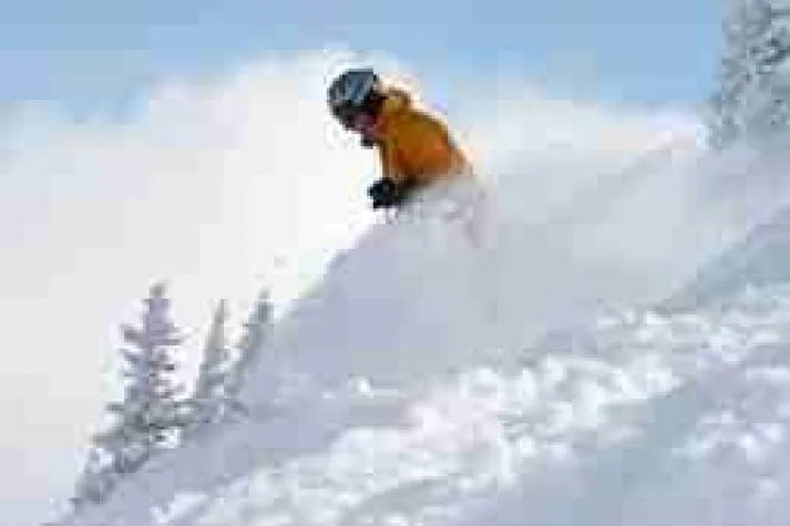 Bild: Prickelnd und umwerfend - Das Schneewunder des Aspen Ski Resort