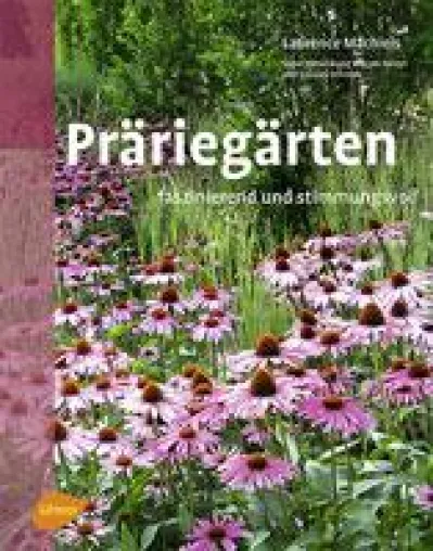 Bild: Präriegärten - Ein Meer von Gräsern und Blumen
