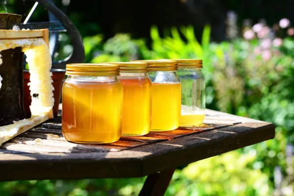 Bild: Investieren wie die Bienen – Lohn ohne Gehaltserhöhung steigern