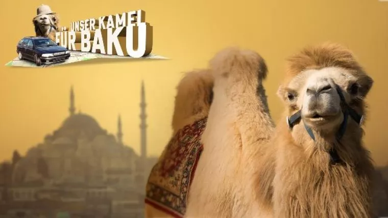 Bild: AutoScout24 fährt mit BBH nach Baku