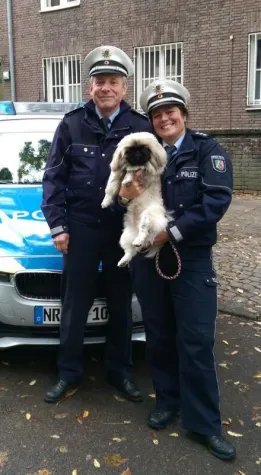 Ein kleiner Helfer auf vier Pfoten leistet Großes: Opferschutzhündin Peng auf der Faszination Heimtierwelt Bild: Ein kleiner Helfer auf vier Pfoten leistet Großes: Opferschutzhündin Peng auf der Faszination Heimtierwelt