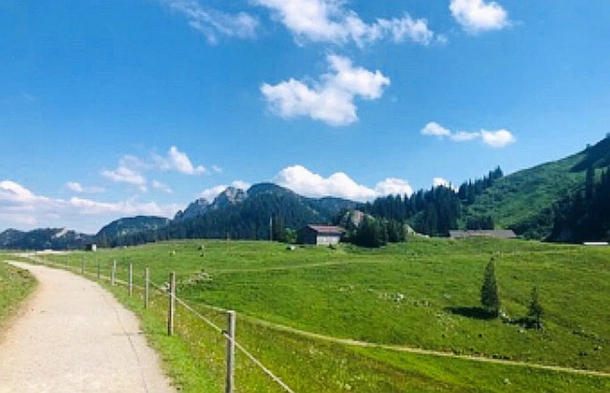 Sicher auf dem Weg zur eigenen Stiftung (© StiftungsMentor)